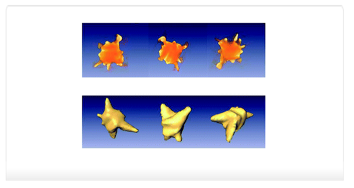 3D morphology of nanocrystals
